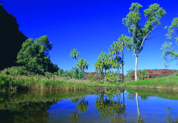 Palm Valley, Northern Territory - Photo Courtesy of Northern Territory Tourist Commission